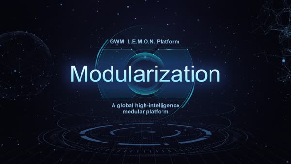 L.E.M.O.N. Platform, an Accelerator for the Development of GWM